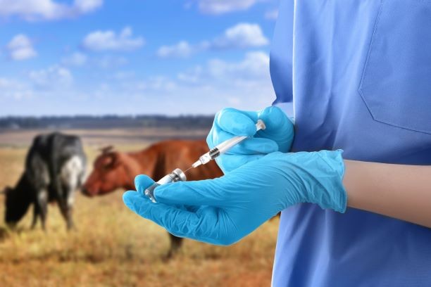 Bachelor of Veterinary Science [BVSc] ( Livestock Production and Management)